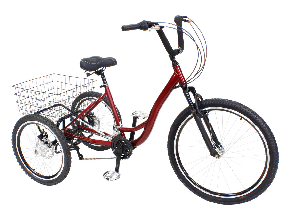 Tricycle Trike Conversion Kit - Disc Brakes, 7 Speeds and Differential ...